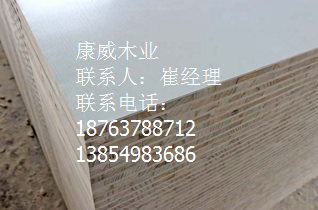 宅男视频APP官网 宅男视频APP官网