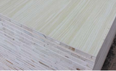 無醛宅男视频APP官网 無醛宅男视频APP官网