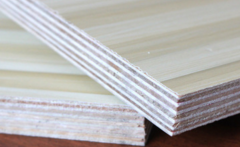 無醛宅男视频APP官网 無醛宅男视频APP官网