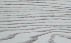 無醛宅男视频APP官网 無醛宅男视频APP官网