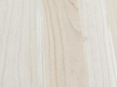 桐木宅男视频APP官网 桐木宅男视频APP官网