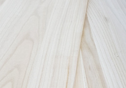 桐木宅男视频APP官网 桐木宅男视频APP官网