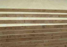 桐木宅男视频APP官网