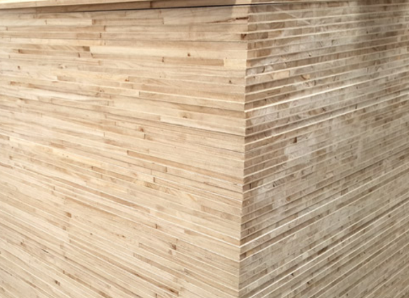 桐木宅男视频APP官网廠家解釋為什麽這種板材會更環保